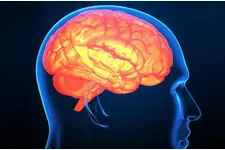 Beyin Travması Belirtileri ve Tedavisi