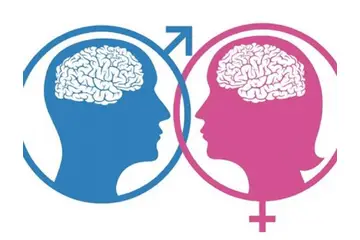 Beyin Cinsiyeti