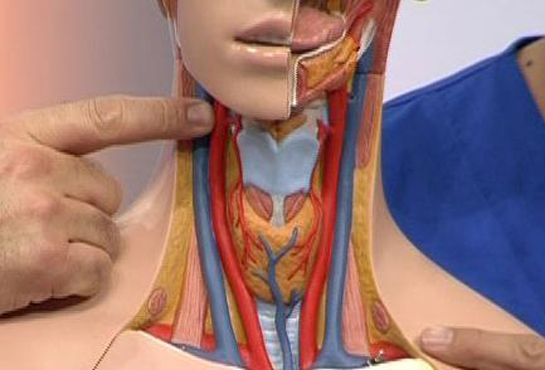 Beyin Damar Tıkanıklığı Belirtileri ve Tedavisi